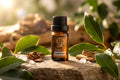 Camphor Essential Oil - 10ml