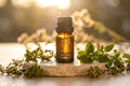 Oregano Essential Oil - 10ml