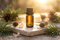 Pine Needle Essential Oil - 10ml